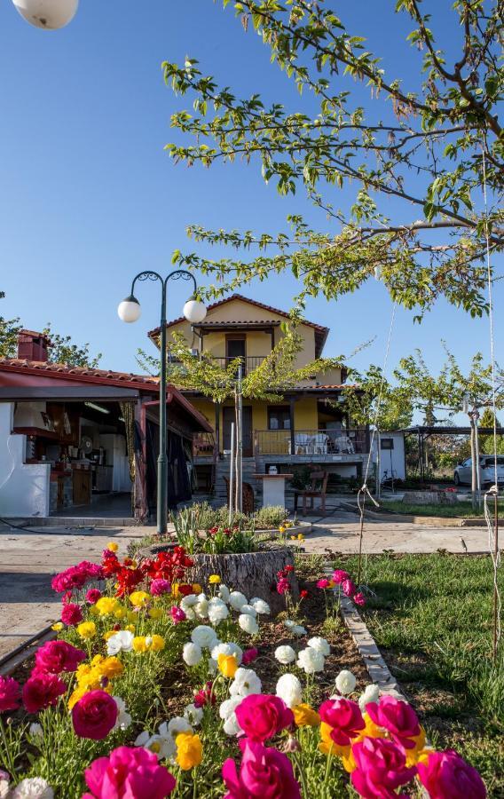 Sunset Villa Sozopoli Exterior photo